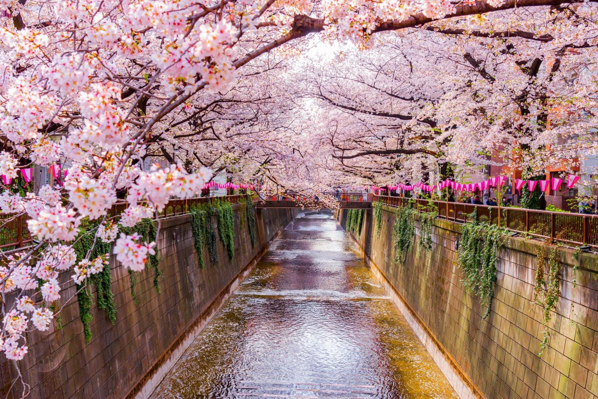 The Westin Tokyo — Photos 1